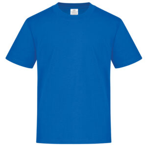 ATC™ EVERYDAY RING SPUN COTTON YOUTH TEE - Royal - L