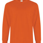ATC™ EVERYDAY RING SPUN COTTON LONG SLEEVE TEE - Orange - 4XL