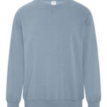 ATC™ EARTH WASH® TOURBILLON FLEECE CREWNECK SWEATSHIRT - Earth Stone Blue - S