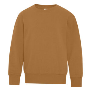 ATC™ EVERYDAY FLEECE CREWNECK YOUTH SWEATSHIRT - Caramel - L