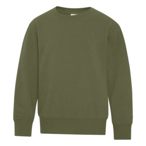 ATC™ EVERYDAY FLEECE CREWNECK YOUTH SWEATSHIRT - Military Green - L