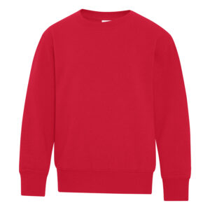 ATC™ EVERYDAY FLEECE CREWNECK YOUTH SWEATSHIRT - Red - L