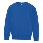 ATC™ EVERYDAY FLEECE CREWNECK YOUTH SWEATSHIRT - Royal - L