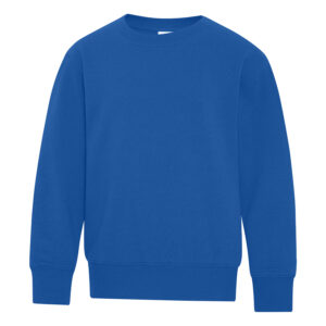 ATC™ EVERYDAY FLEECE CREWNECK YOUTH SWEATSHIRT - Royal - L