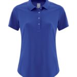 CALLAWAY CORE PERFORMANCE LADIES' POLO - Surf The Web - 3XL