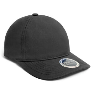INIVI ENZYME 2 PANEL CAP - Black - OSFA