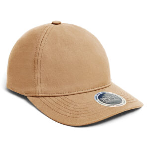 INIVI ENZYME 2 PANEL CAP - Khaki - OSFA