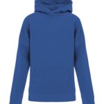 ATC™ ESACTIVE® CORE YOUTH HOODIE - True Royal - M